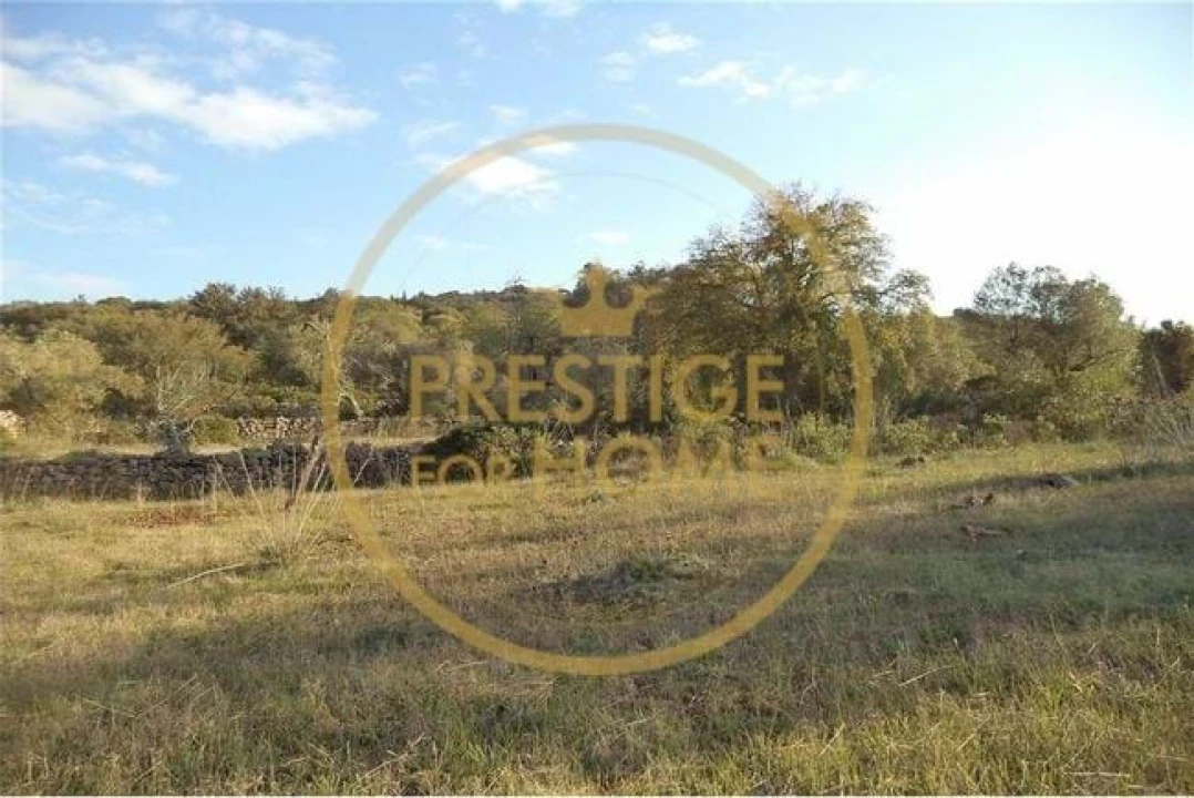Terreno para Venda em Loule (São Sebastião) Foto 17