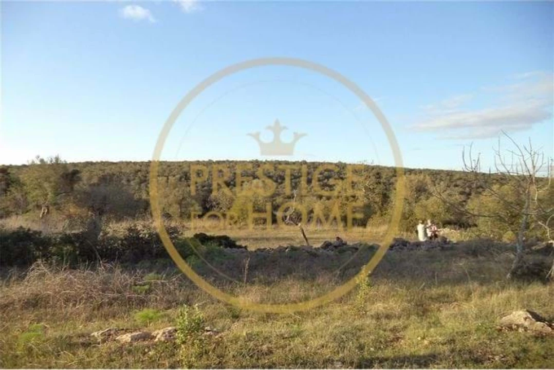 Terreno para Venda em Loule (São Sebastião) Foto 23