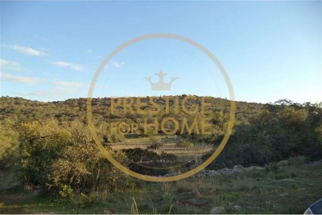 Terreno para Venda em Loule (São Sebastião) Foto 35