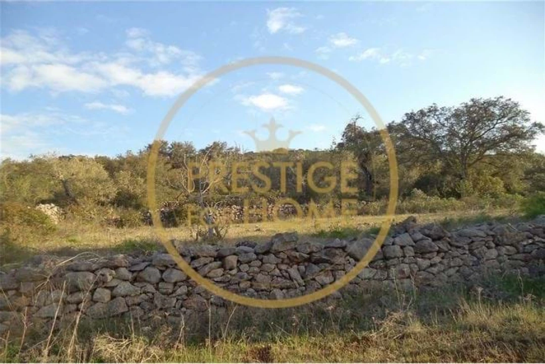Terreno para Venda em Loule (São Sebastião) Foto 18