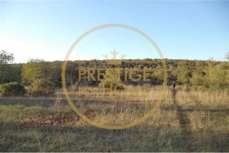 Terreno para Venda em Loule (São Sebastião) Foto 32