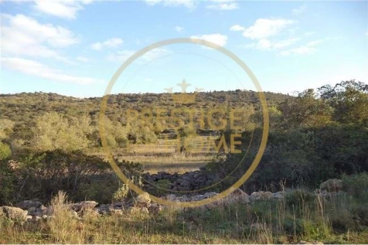 Terreno para Venda em Loule (São Sebastião) Foto 7