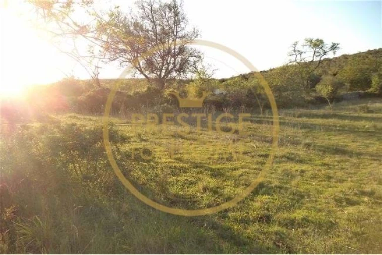 Terreno para Venda em Loule (São Sebastião) Foto 30