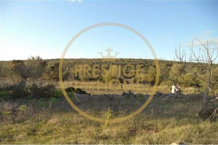 Terreno para Venda em Loule (São Sebastião) Foto 25