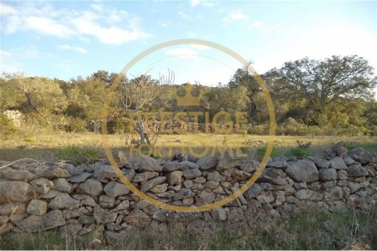 Terreno para Venda em Loule (São Sebastião) Foto 20