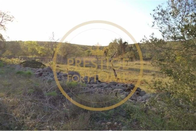Terreno para Venda em Loule (São Sebastião) Foto 26
