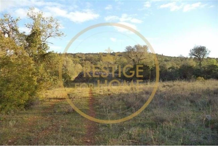 Terreno para Venda em Loule (São Sebastião) Foto 15