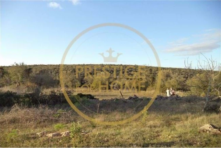 Terreno para Venda em Loule (São Sebastião) Foto 23