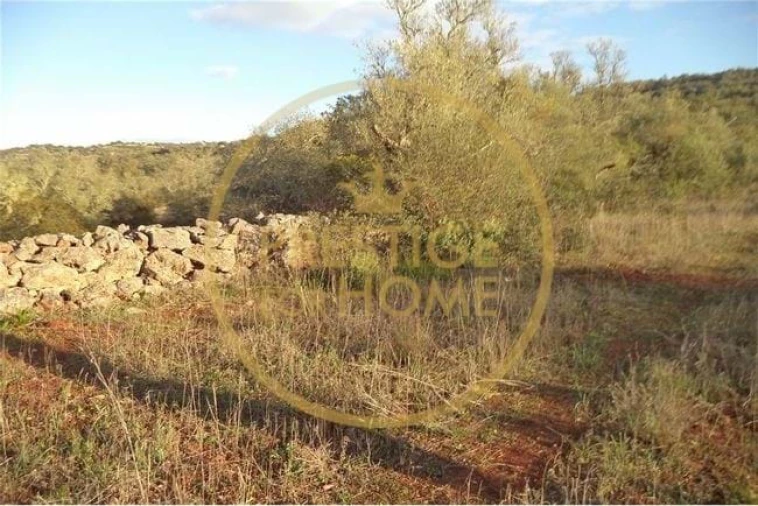Terreno para Venda em Loule (São Sebastião) Foto 13