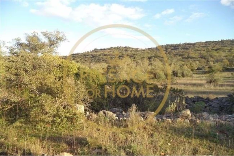 Terreno para Venda em Loule (São Sebastião) Foto 8