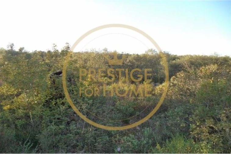 Terreno para Venda em Loule (São Sebastião) Foto 36