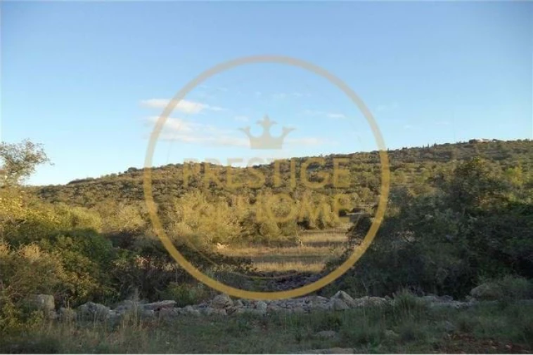 Terreno para Venda em Loule (São Sebastião) Foto 38