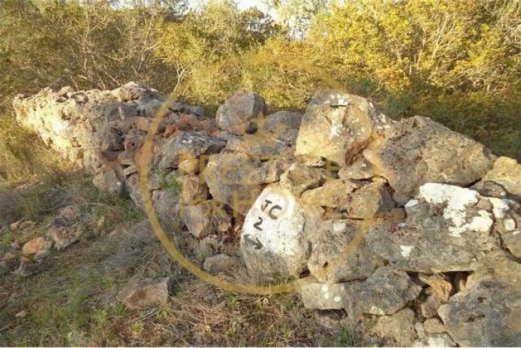 Terreno para Venda em Loule (São Sebastião) Foto 28