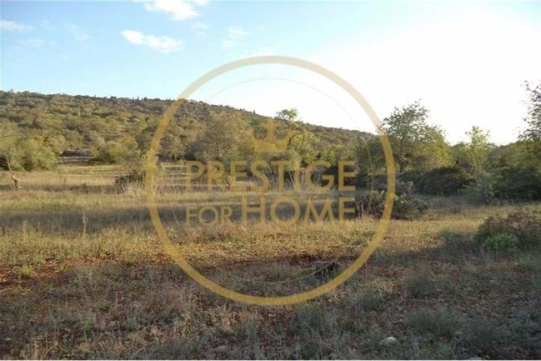 Terreno para Venda em Loule (São Sebastião) Foto 10
