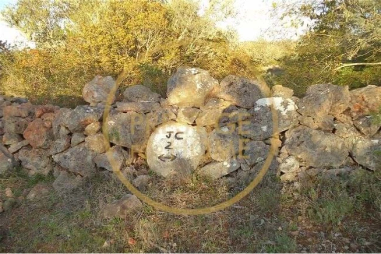 Terreno para Venda em Loule (São Sebastião) Foto 27