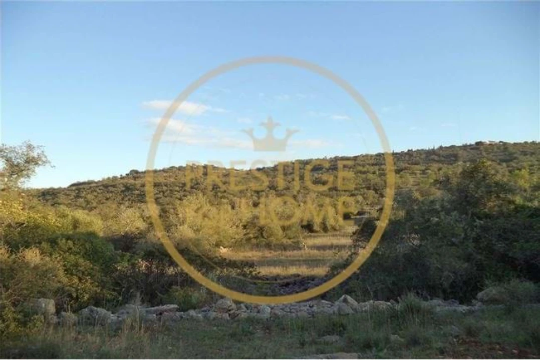 Terreno para Venda em Loule (São Sebastião) Foto 38
