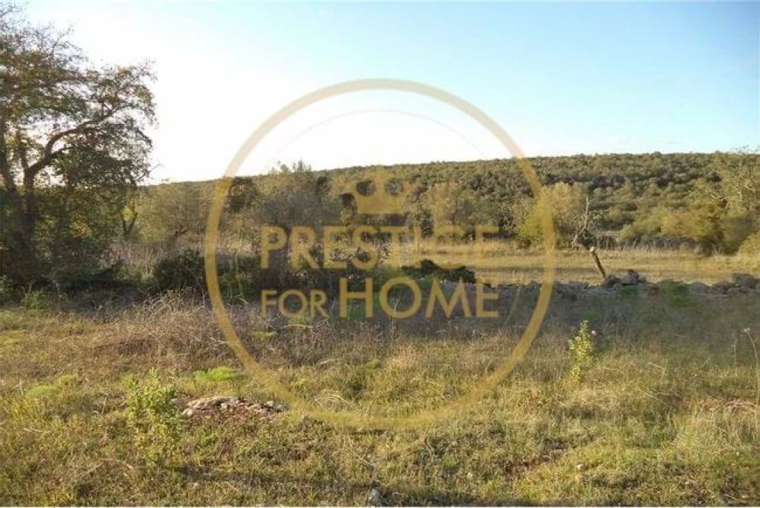 Terreno para Venda em Loule (São Sebastião) Foto 24