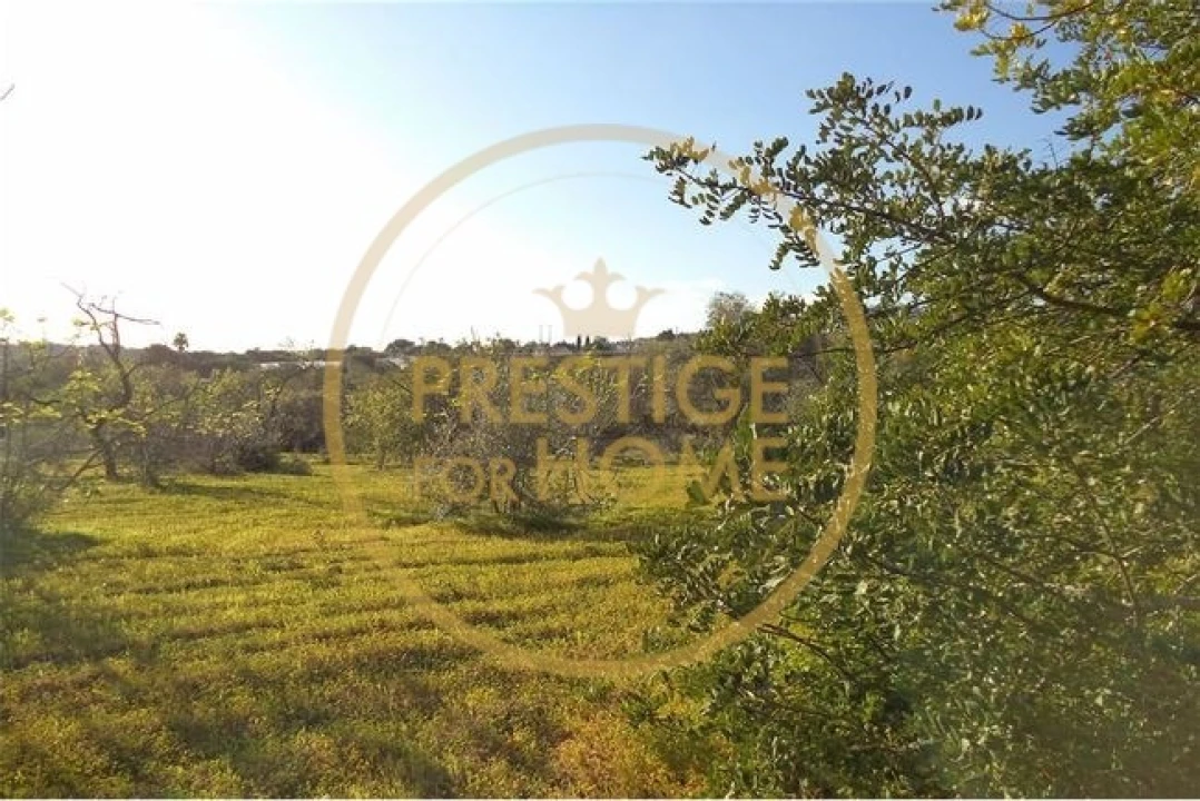 Terreno para Venda em Loule (São Sebastião) Foto 1