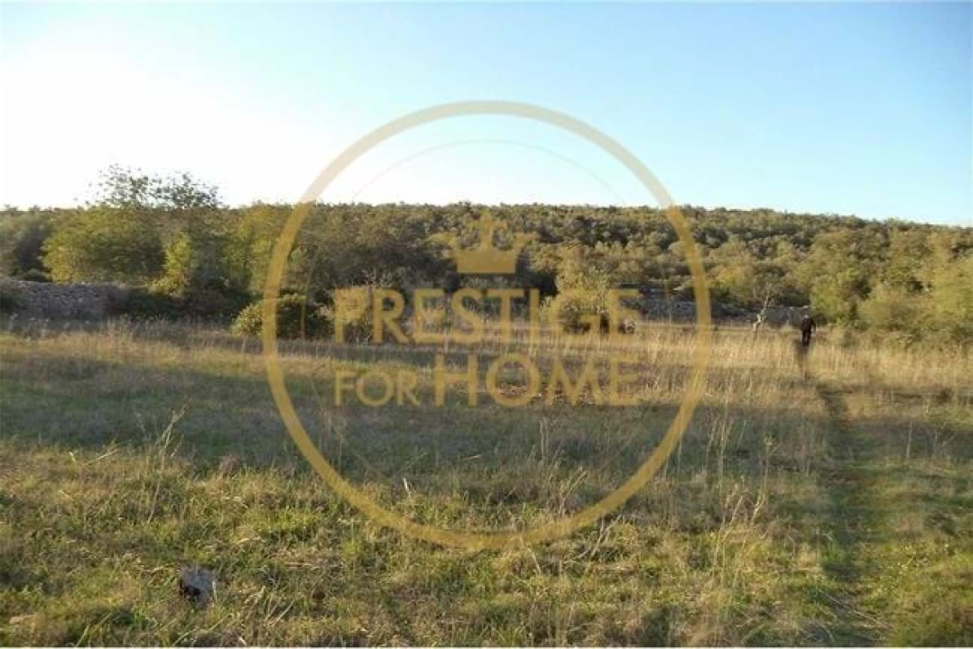 Terreno para Venda em Loule (São Sebastião) Foto 31