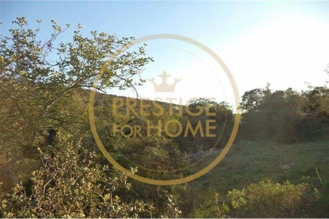 Terreno para Venda em Loule (São Sebastião) Foto 40