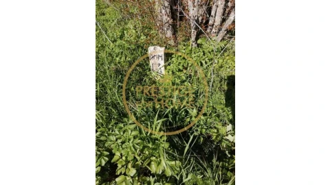 Terreno para Venda em Loule (São Clemente)