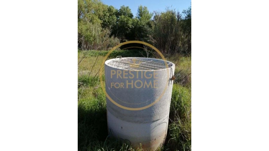 Terreno para Venda em Loule (São Clemente) Foto 4