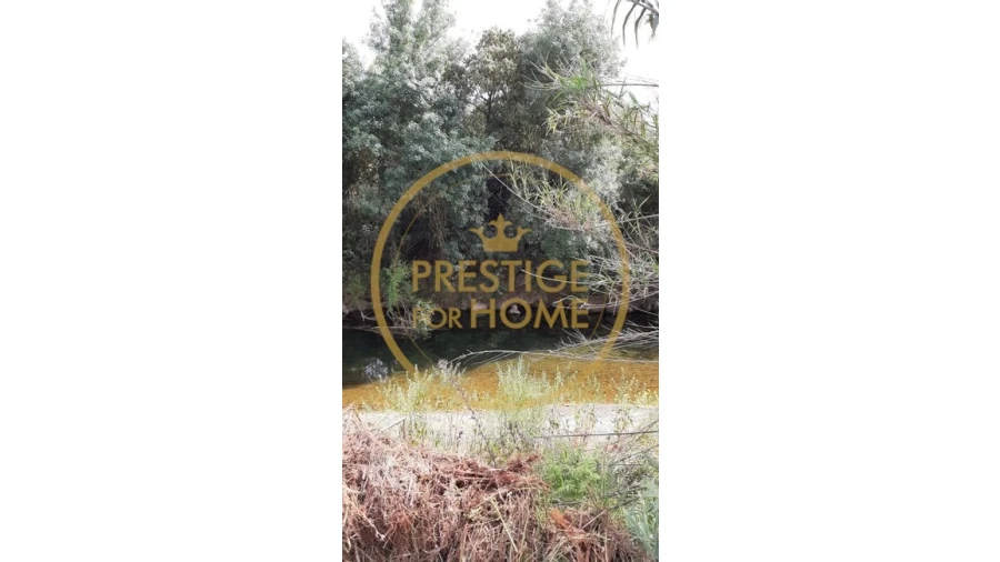 Terreno para Venda em Loule (São Clemente) Foto 2