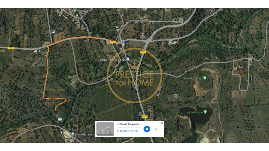 Terreno para Venda em Loule (São Clemente) Foto 12