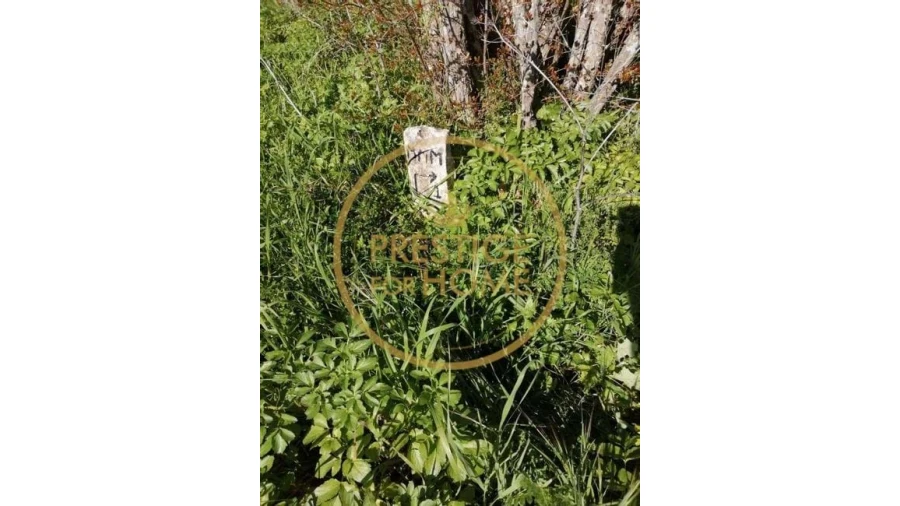 Terreno para Venda em Loule (São Clemente) Foto 6