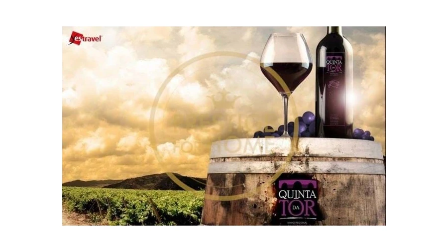 Terreno para Venda em Loule (São Clemente) Foto 5