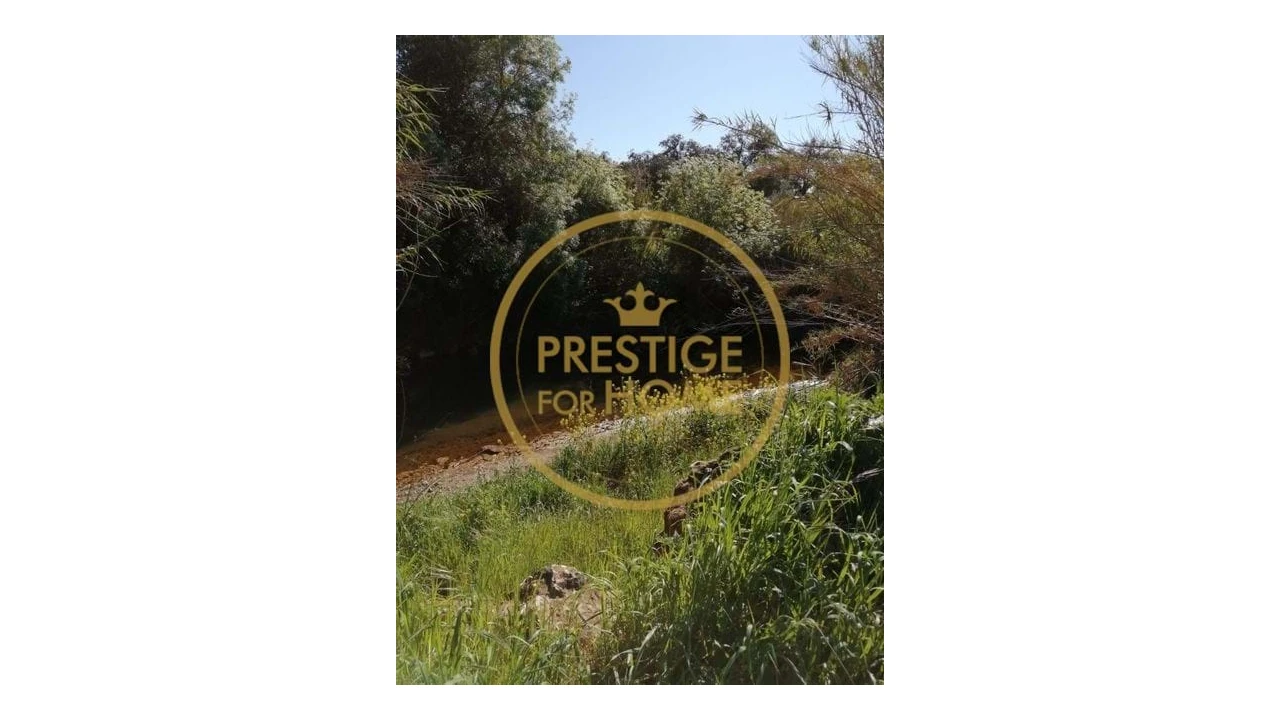 Terreno para Venda em Loule (São Clemente) Foto 1