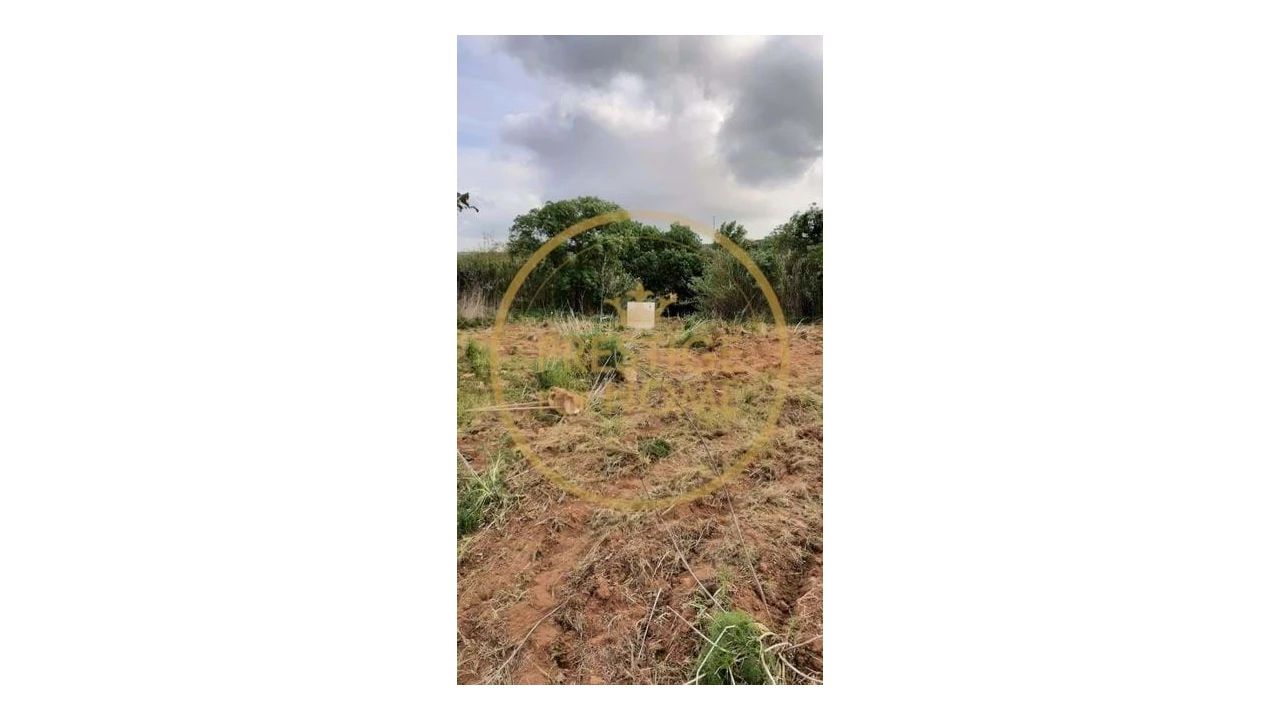 Terreno para Venda em Loule (São Clemente) Foto 10