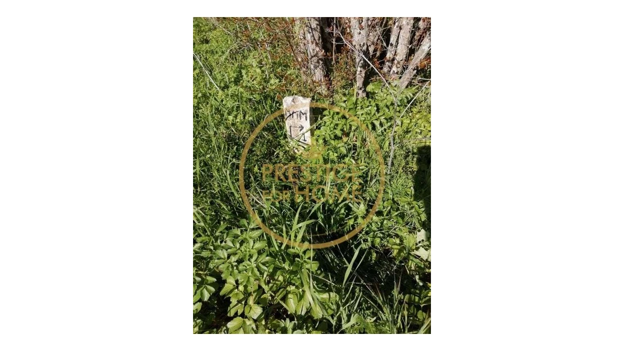 Terreno para Venda em Loule (São Clemente) Foto 6