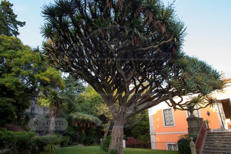 Moradia T7 para Venda em Oeiras e São Julião da Barra, Paço de Arcos e Caxias Foto 9