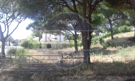 Terreno para Venda em Quarteira