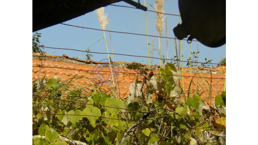 Quinta T7 para Venda em Mafamude e Vilar do Paraíso Foto 95