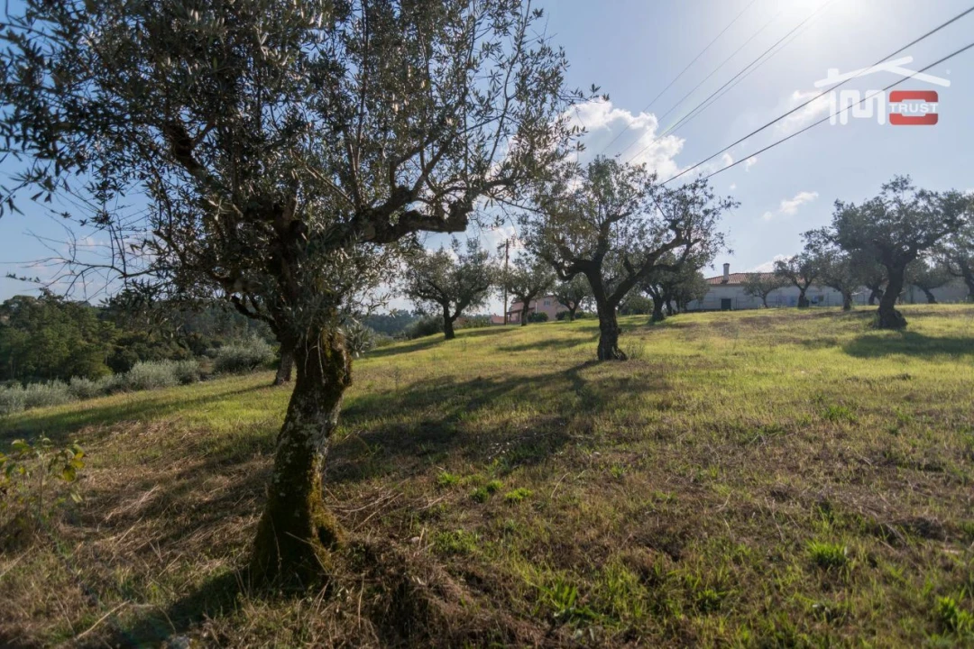 Terreno Agricola ou Rústico para Venda em Santa Catarina da Serra e Chainça Foto 5
