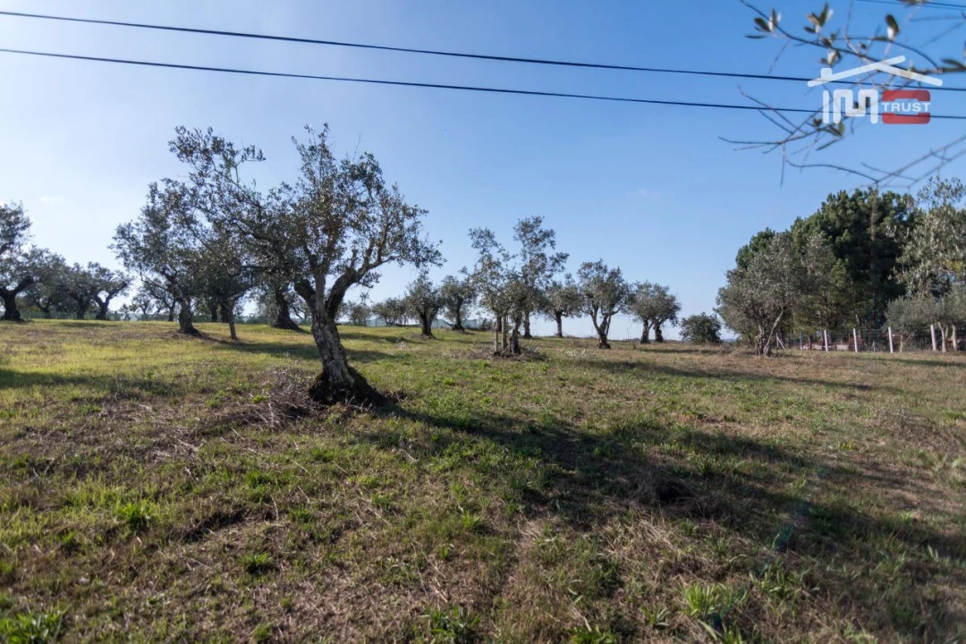 Terreno Agricola ou Rústico para Venda em Santa Catarina da Serra e Chainça Foto 6