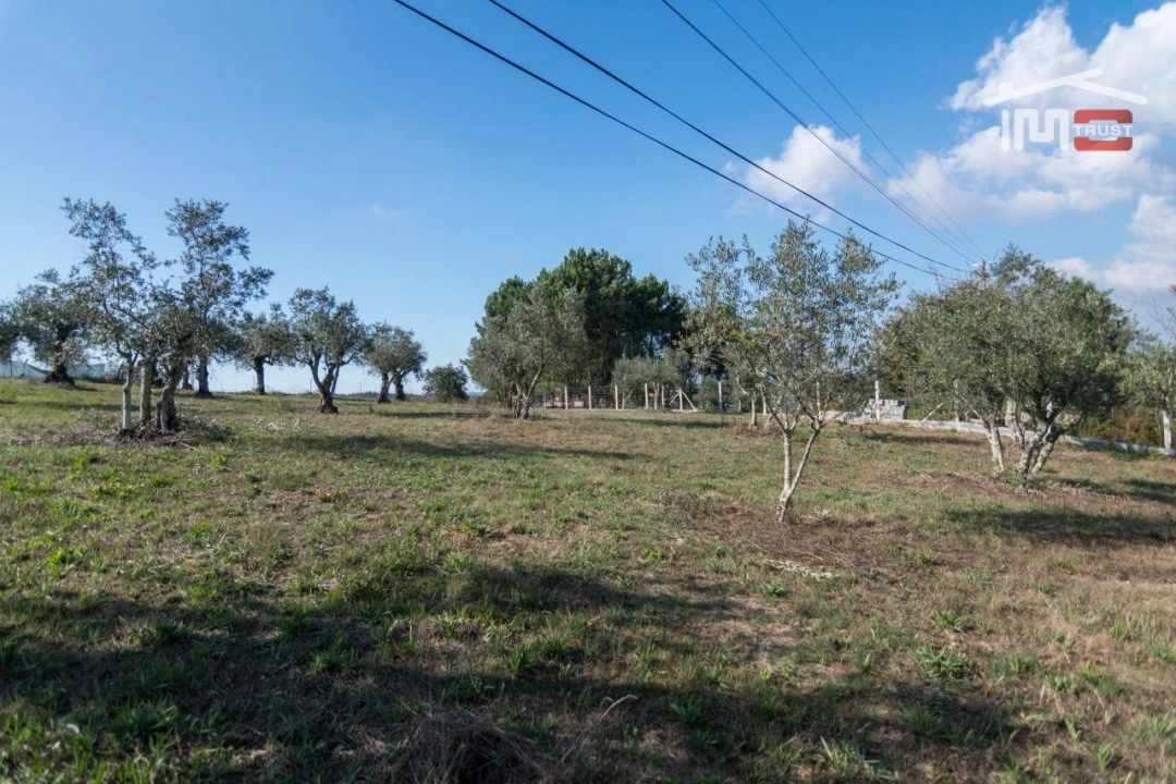 Terreno Agricola ou Rústico para Venda em Santa Catarina da Serra e Chainça Foto 7