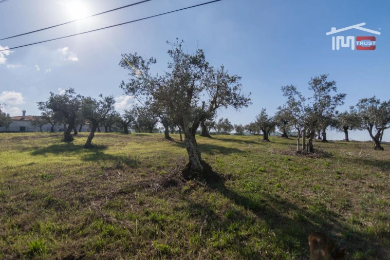 Terreno Agricola ou Rústico para Venda em Santa Catarina da Serra e Chainça Foto 3
