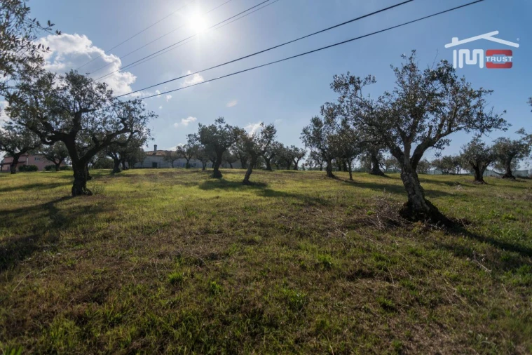 Terreno Agricola ou Rústico para Venda em Santa Catarina da Serra e Chainça Foto 4