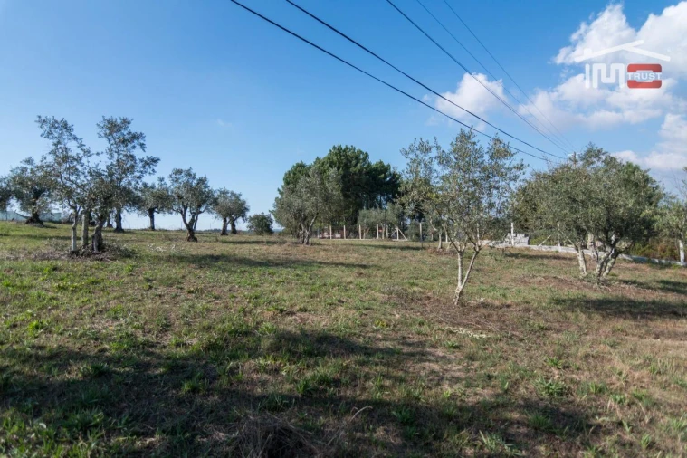Terreno Agricola ou Rústico para Venda em Santa Catarina da Serra e Chainça Foto 7
