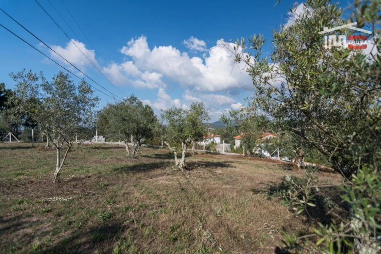 Terreno Agricola ou Rústico para Venda em Santa Catarina da Serra e Chainça Foto 8