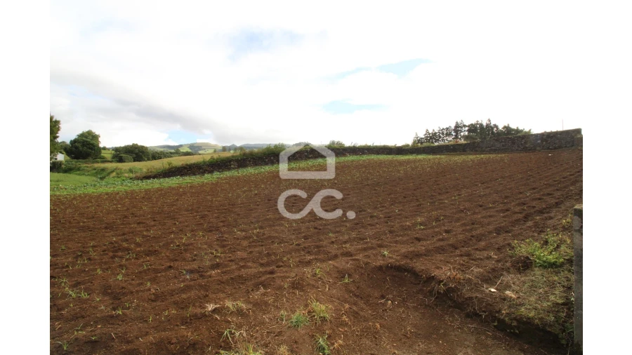 Terreno para Venda em Lagoa (Santa Cruz) Foto 4