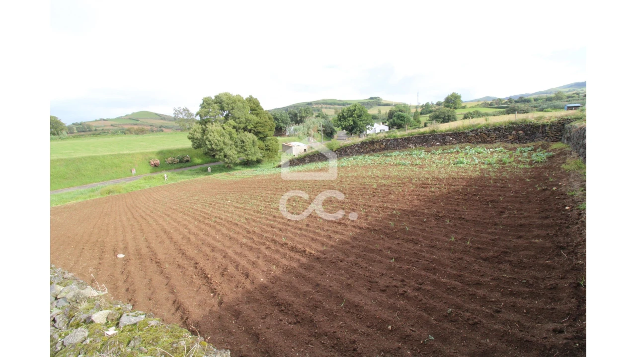 Terreno para Venda em Lagoa (Santa Cruz) Foto 7