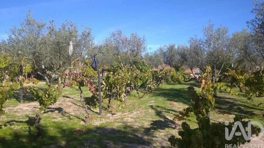 Moradia para Venda em Vila Cortes da Serra Foto 23