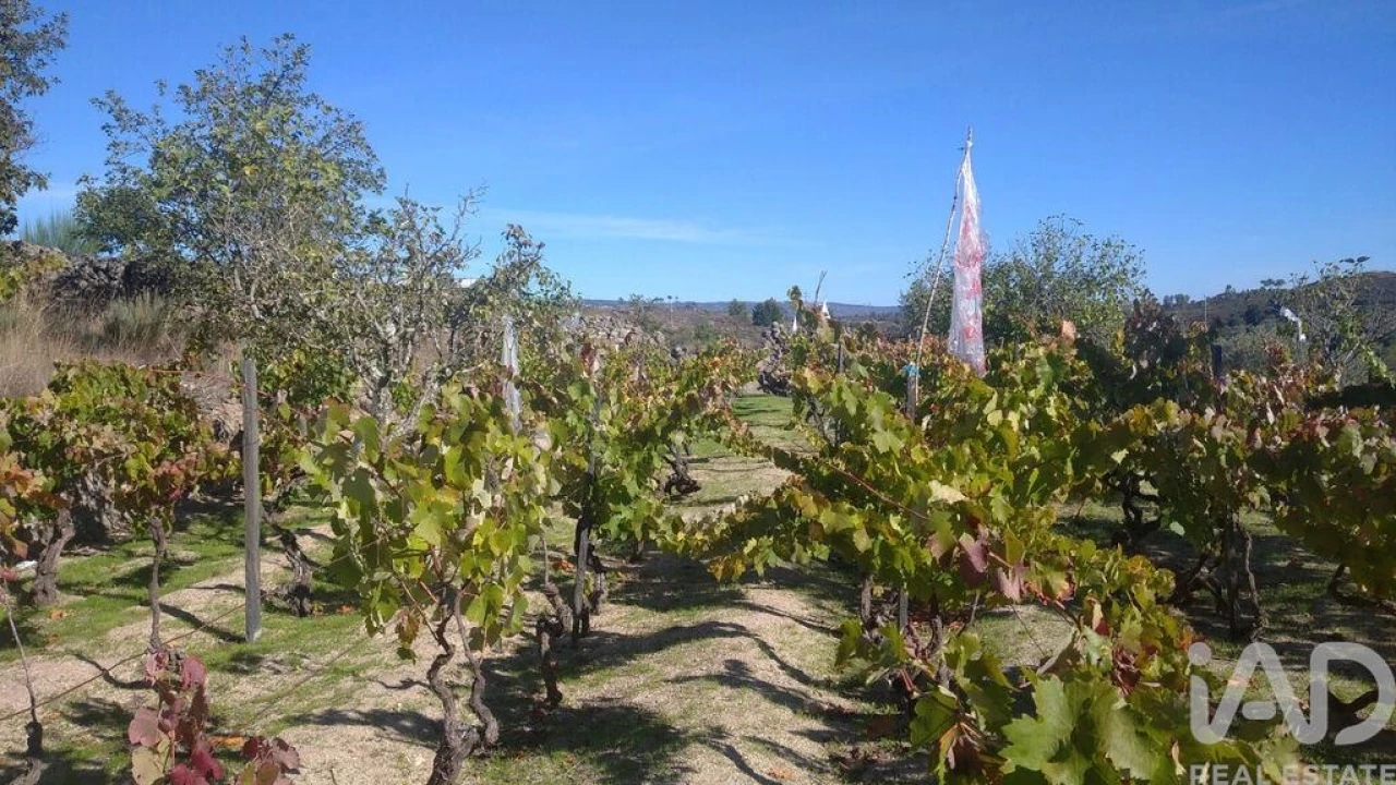 Moradia para Venda em Vila Cortes da Serra Foto 20