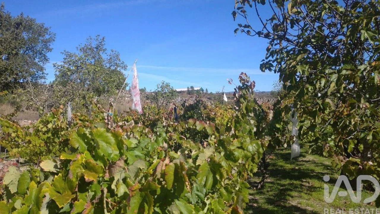 Moradia para Venda em Vila Cortes da Serra Foto 21