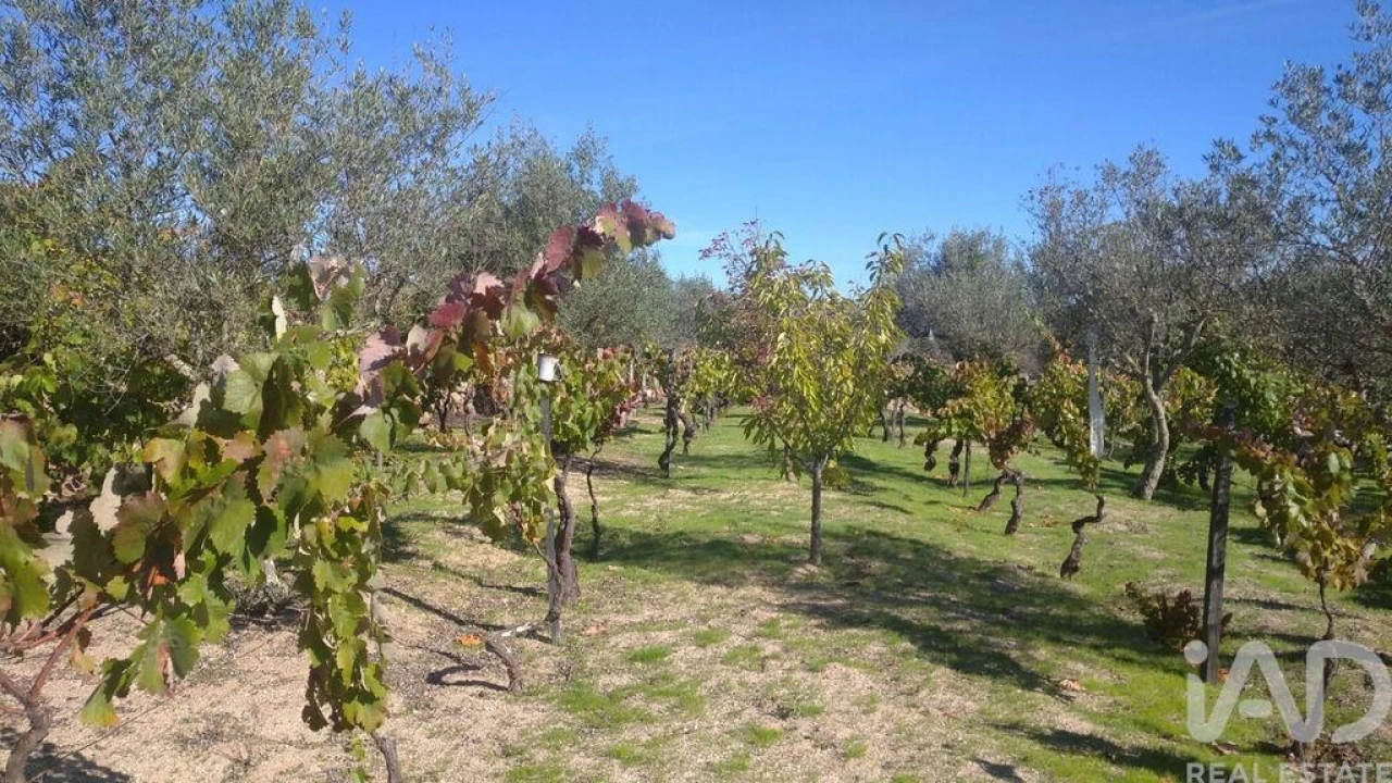 Moradia para Venda em Vila Cortes da Serra Foto 22