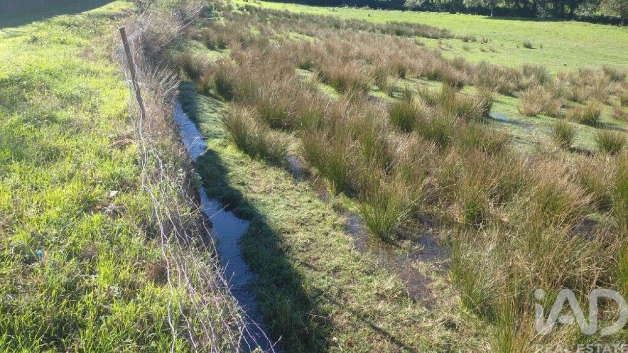 Terreno para Venda em Vila Cortes da Serra Foto 18